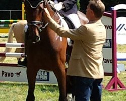 dressage horse Ceda (Holsteiner, 2010, from Aragorn W)