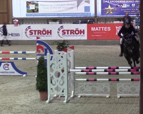 Nordic Jumping Events 2019