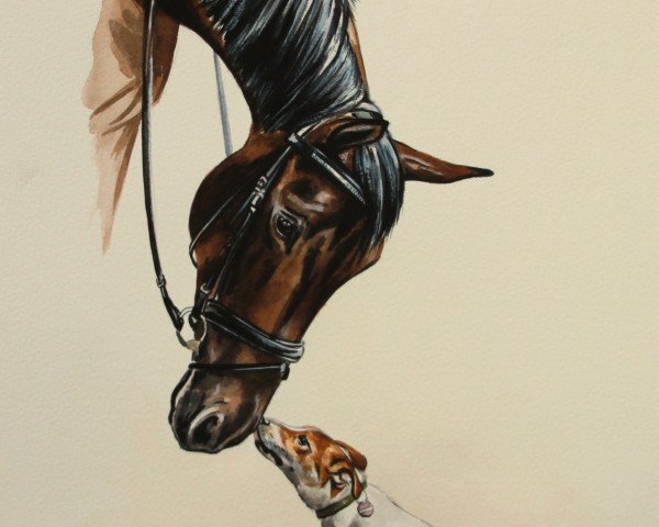 horse Rasca 4 (Hanoverian, 2006, from Rascalino)