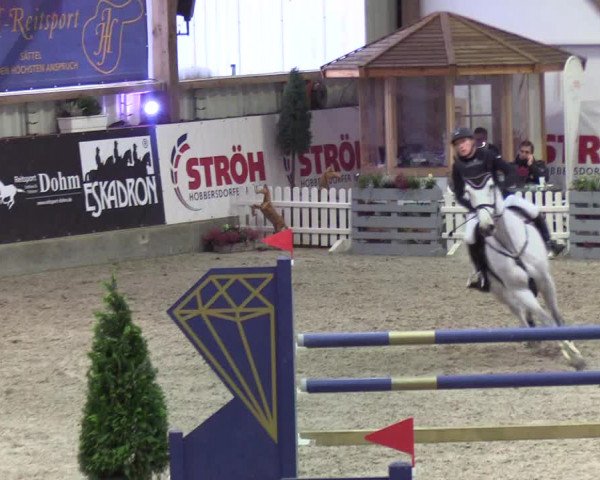 Nordic Jumping Events 2019