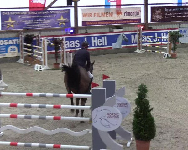 Nordic Jumping Events 2019