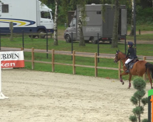 Reitturnier Westergellersen 2021