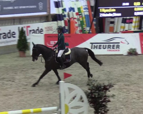 Nordic Jumping Events 2019