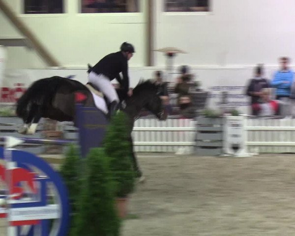 Nordic Jumping Events 2019