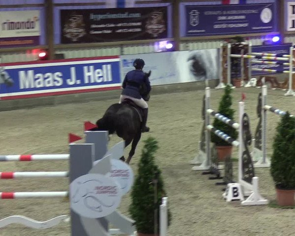 Nordic Jumping Events 2019
