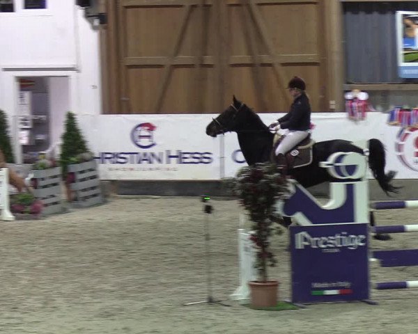 Nordic Jumping Events 2019