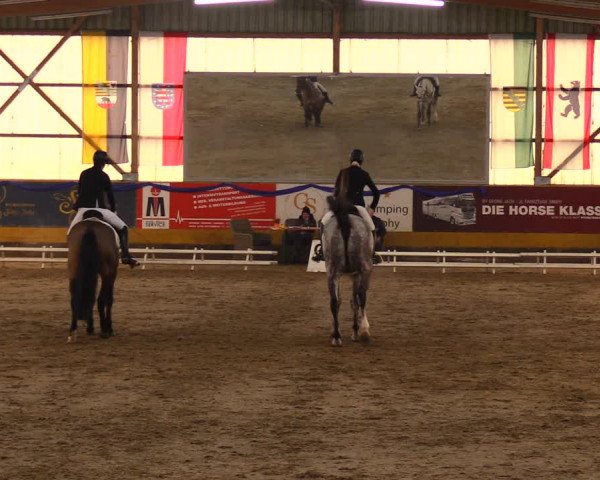 Reitturnier Pausin 2019