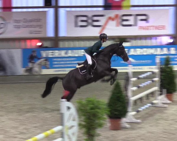 Nordic Jumping Events 2019