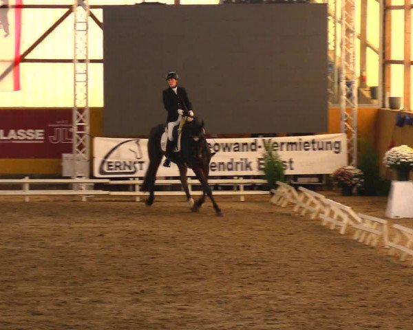 Reitturnier Pausin 2019