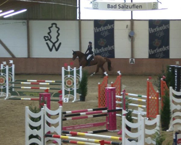 Reitturnier Bad Salzuflen 2019