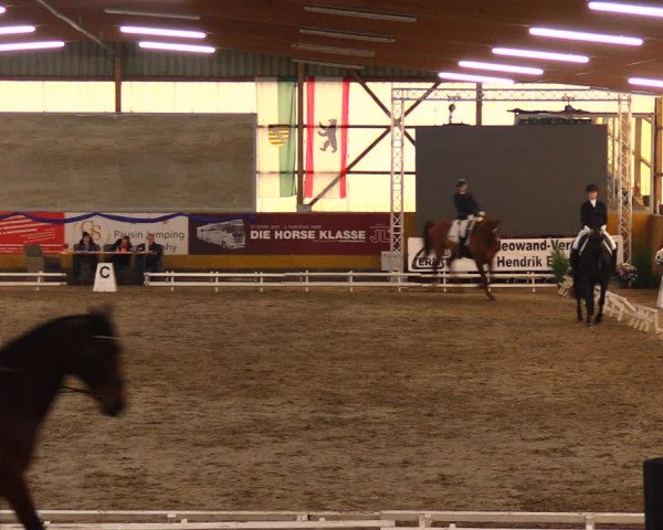 Reitturnier Pausin 2019