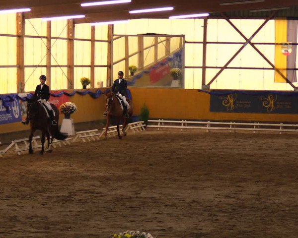 Reitturnier Pausin 2019