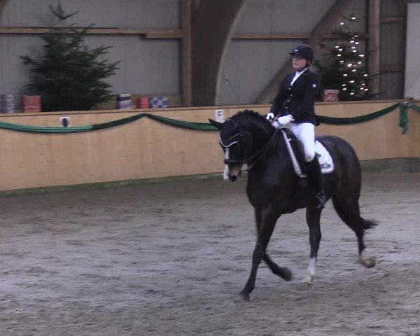 Reitturnier Leck 2019