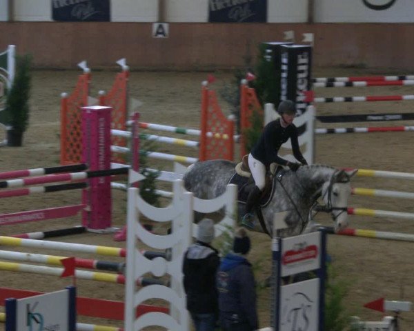 Reitturnier Bad Salzuflen 2019