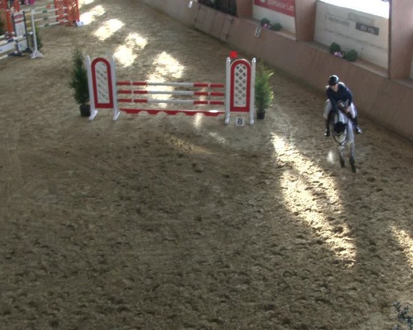 Reitturnier Bad Salzuflen 2019