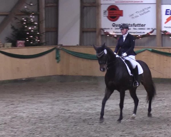 Reitturnier Leck 2019