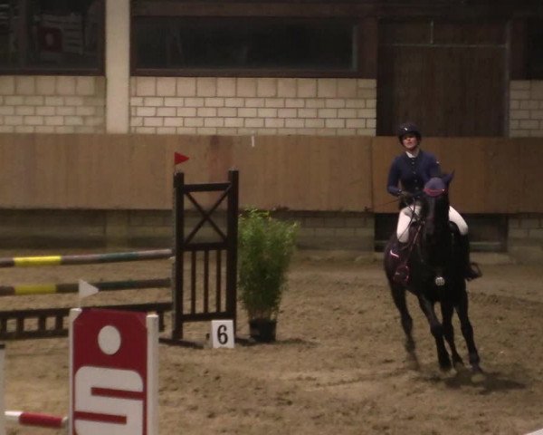 Reitturnier Oelde 2019