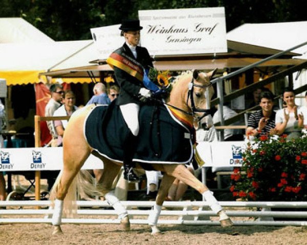 broodmare Seven Mountain Derbyna (German Riding Pony, 1998, from Derby)