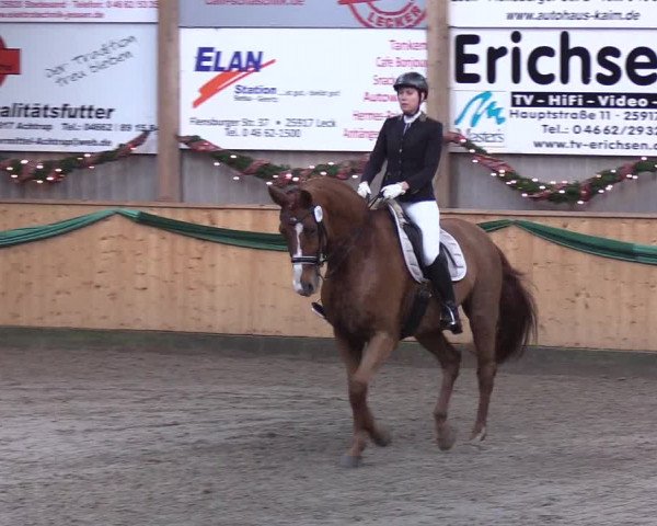 Reitturnier Leck 2019
