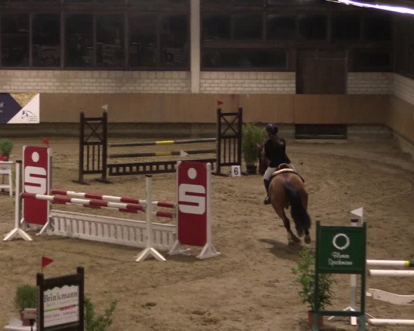Reitturnier Oelde 2019