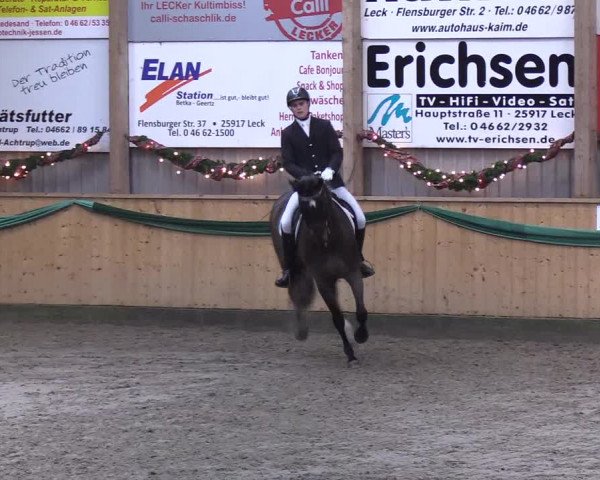 Reitturnier Leck 2019