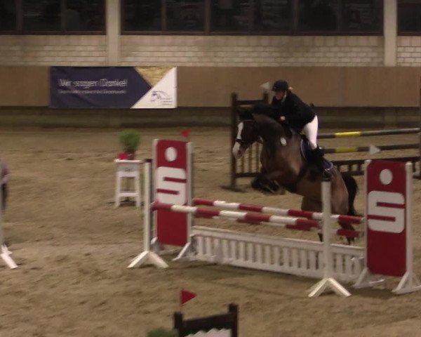 Reitturnier Oelde 2019