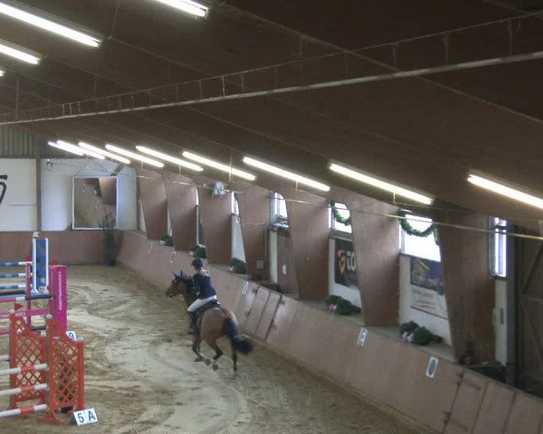 Reitturnier Bad Salzuflen 2019