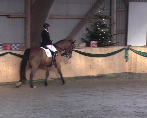 Reitturnier Leck 2019