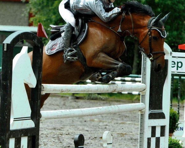 Zuchtstute Graducca T (Rheinländer, 2009, von Grandoso)