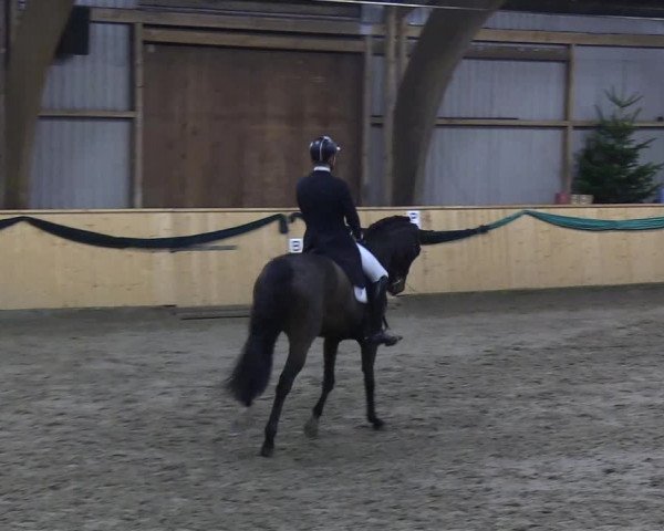 Reitturnier Leck 2019