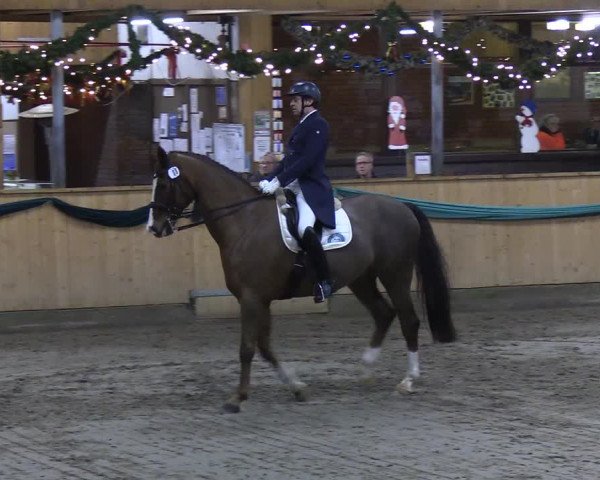 Reitturnier Leck 2019