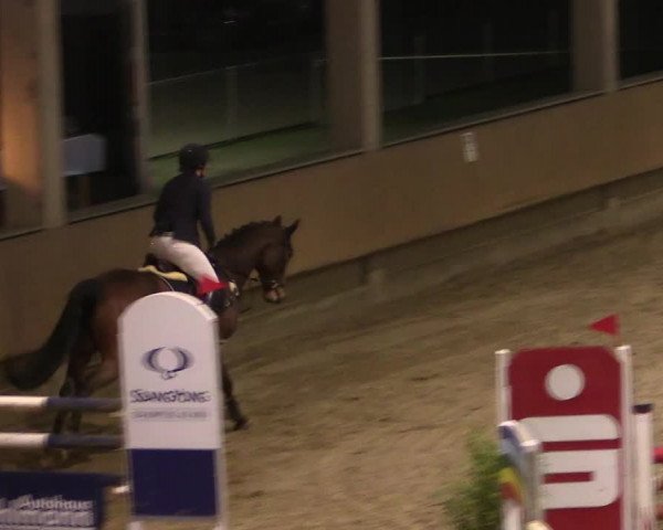 Reitturnier Oelde 2019