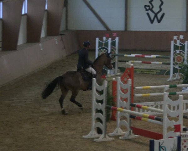 Reitturnier Bad Salzuflen 2019