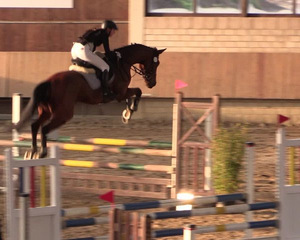 Reitturnier Oelde 2019