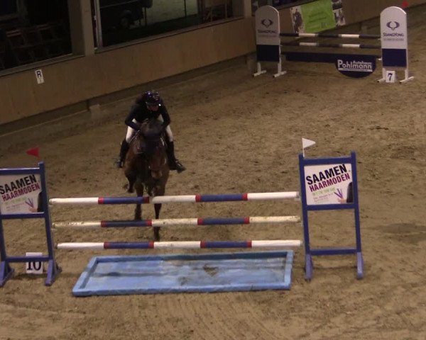 Reitturnier Oelde 2019