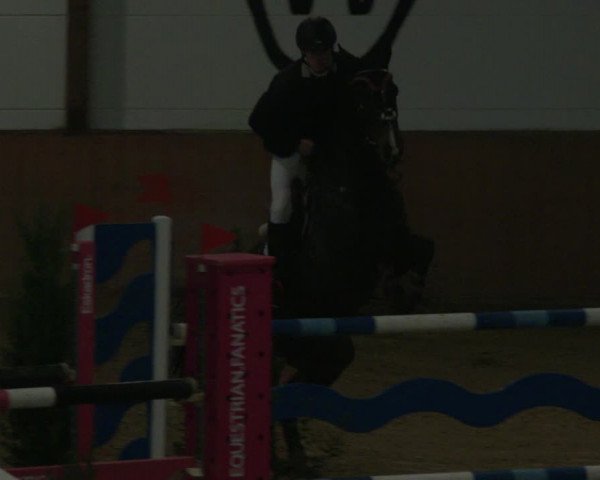 Reitturnier Bad Salzuflen 2019