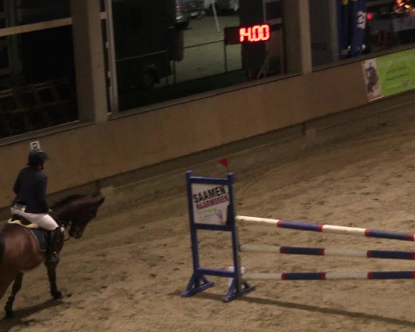 Reitturnier Oelde 2019
