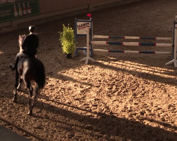 Reitturnier Oelde 2019