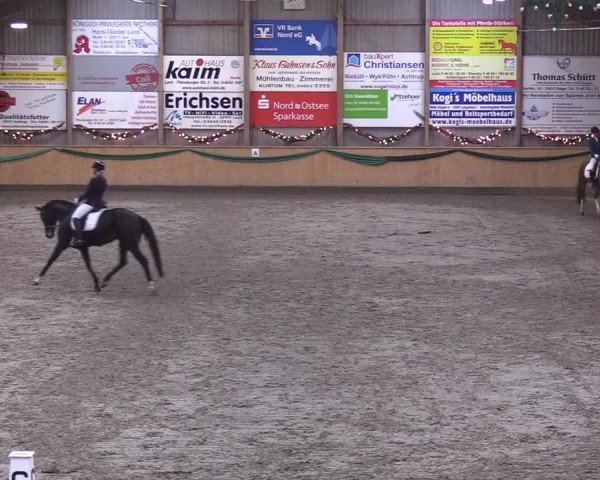 Reitturnier Leck 2019