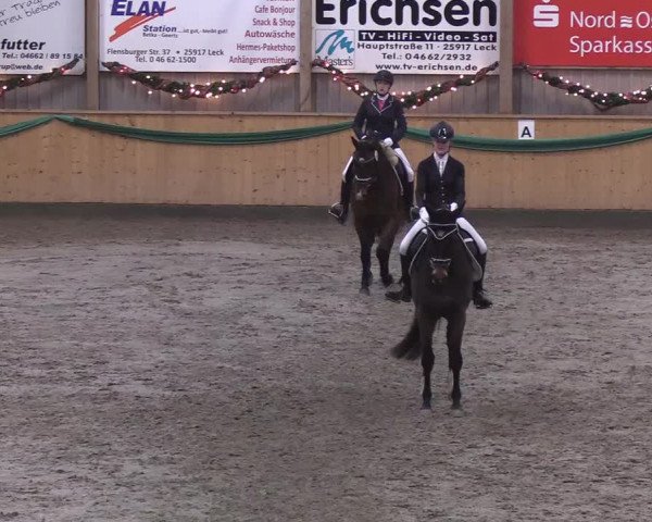 Reitturnier Leck 2019
