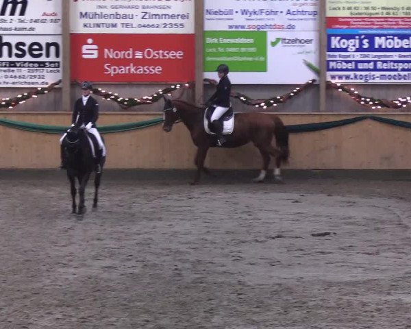 Reitturnier Leck 2019