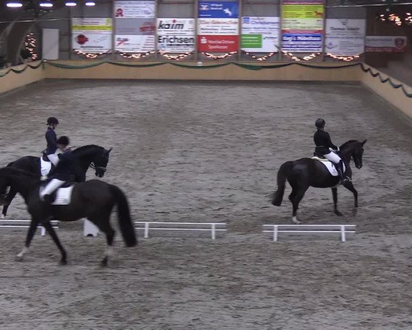 Reitturnier Leck 2019