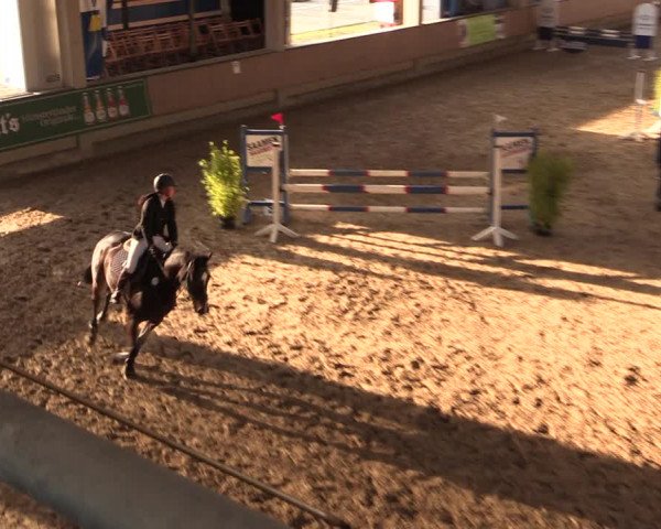 Reitturnier Oelde 2019