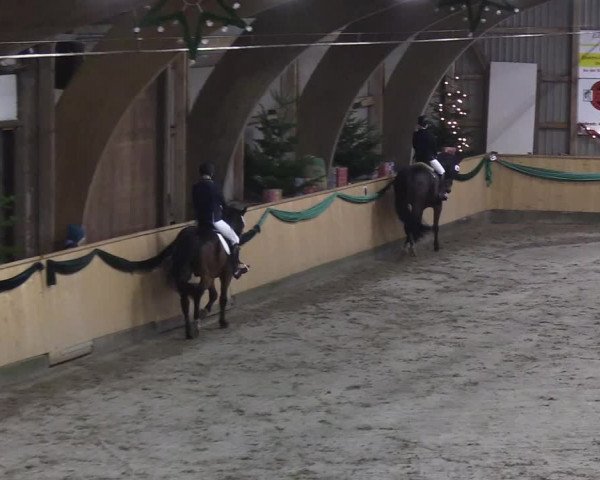 Reitturnier Leck 2019