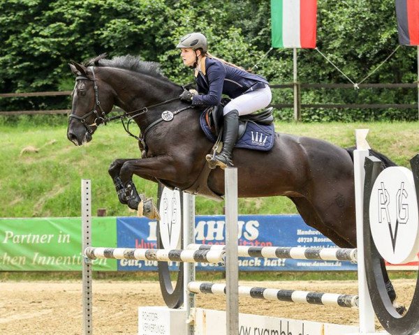 broodmare Charlize (Westphalian, 2011, from Christoph Columbus)