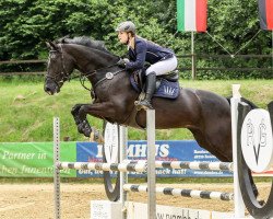 broodmare Charlize (Westphalian, 2011, from Christoph Columbus)