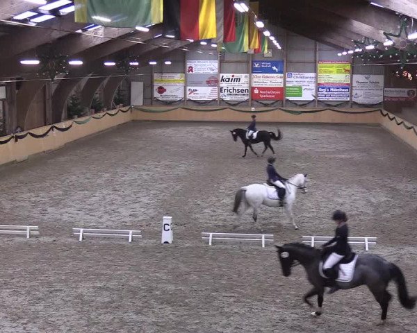 Reitturnier Leck 2019