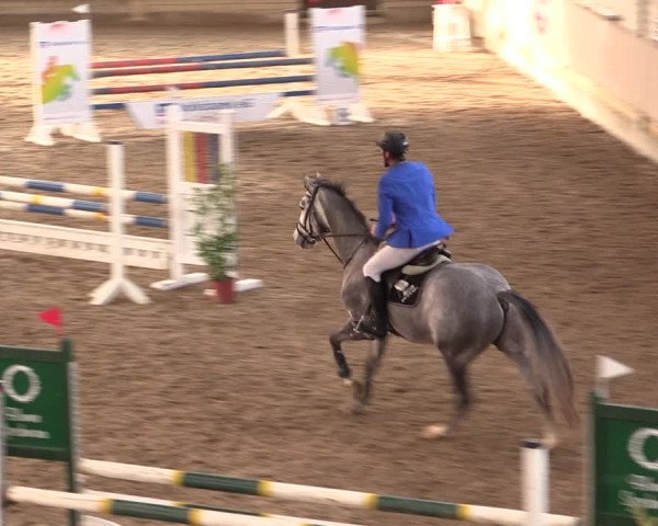 Reitturnier Oelde 2019