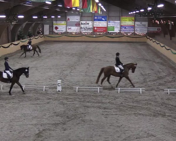 Reitturnier Leck 2019