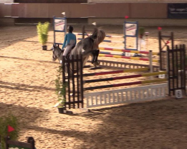 Reitturnier Oelde 2019